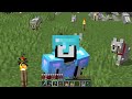 My Invincible 1,000 DOG ARMY In Minecraft Hardcore (#5)