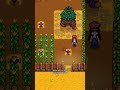 Are Junimo Huts Worth It? #stardewvalley