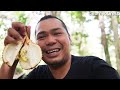 Akhirnya Menemukan Durian Paling Langka & Unik di Dunia.. Durian Kura-Kura.. Durio testudinarium