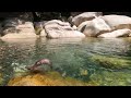 [Original Video] Otter That Looks Like Pokémon