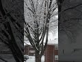Snowing, Eastern coast, NJ.