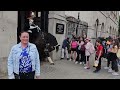 You Never believe this! Two Tourists Grabs and Pulls The Horse's Bridle!