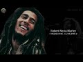 The Untold Side of Bob Marley's Journey 😎🎤