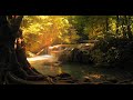 Relax Piano Music - Relaxing Music for Sleep, Studying & Relaxation, Calming Music, Meditation 🍀