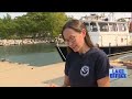 At the bottom of Lake Michigan, shipwrecks race against invasive species