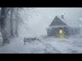 Wind Sounds for Sleeping┇Howling Wind & Blowing Snow┇Winter Storm & Icy Snowstorm Ambience