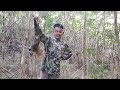 GOD TARZAN CONQUERS WEACHES ON THE TREE #viral #biawak #video #hunting #best