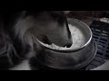 Recipe To Help Your Dog Produce Milk