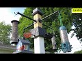 Let's Build a Bird Feeding Station (Please check the description regarding HPAI and bird feeders!)