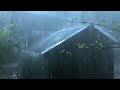 You Will Fall Sleep Instantly with Heavy Rain & Powerful Thunder Sounds on a Tin Roof in Rainforest