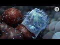 Decoding cancer immunology: Hunting hidden tumours