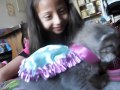 Kittens 101 With Elisha