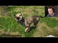 Animal Shelter Simulator - Part 1 - The Beginning