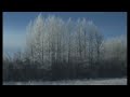 ALASKA HIGHWAY WINTER: Buckinghorse River to Fort Nelson, BC