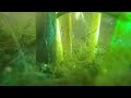 Natural closed Aquarium with micro organisms. Drum and Bass Music added.
