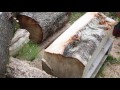 Freehand Chainsaw Milling