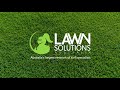 Cut short or unmown, this grass can do it all! | Sir Grange Zoysia with Charlie Albone