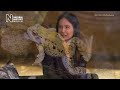 Amphibian decline & why it matters: Katherine Waterston quizzes 3 experts (Audio Described)
