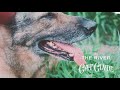 Cat Clyde - The River (Official Audio)