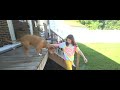 How to train your dog to jump off a deck. Avery training Ely.