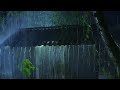 Sleep Instantly with Soothing Rain Sounds and Thunderstorm in Dark Night - Sleeping Rain White Noise