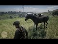 The BEST HORSE Breed In RDR2 And Why It's Not an Arabian - Red Dead Redemption 2 Horses