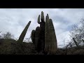 Sonoran Desert in superview