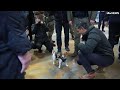 Patron the Jack Russell: Meet the Ukraine dog with a life-saving job sniffing explosives | ITV News