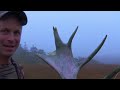 Foggy Newfoundland Hunt for Giant Bull Moose | Canada in the Rough