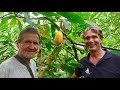 The Best Way to Grow Food: Food Forests! (Sailors for Sustainability #71)