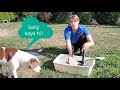 Electric vs. solar fountain pump test - best solar fountain pump with battery backup