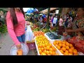 Amazing! Food Market Scenes - Fish, Pickled Crabs, Fresh Vegetables, Fruits, Chicken, & More |Papa