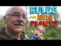 THESE 8 SHRUBS Fertilize Your Soil (Part 2) Nitrogen Fixing Shrubs
