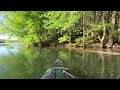 Scenic Paddle Under The Trees
