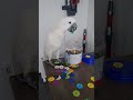 Frank the Cockatoo having fun with Connectors