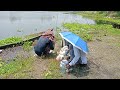 Fishing with a bow is a test of patience।। amazing fishing।। village fishing