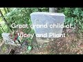 Finding the lost graves of Doc and Pliant Mahon-Prisoners of Hatfield McCoy feud-West Virginia