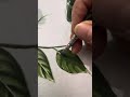 Easy leaf painting for beginners#fabricpainting#brushpainting#like , share and subscribe my channel🙏