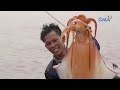 Ang panghuhuli ng mga giant squid sa Sablayan, Occidental Mindoro! | Born to be Wild