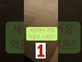 넌센스 퀴즈 14