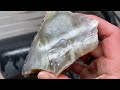 Cutting Open Oregon Agates w/ BIG Surprises!