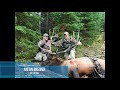 2017 Montana 7x7 Bull Elk - Extended Footage