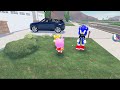 Sonic Becomes a DAD in Roblox!