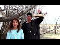 Building a Platform Bird Feeder with my Daughter | Spring Projects