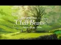 4 Hour Night Lofi | Lofi Chill Mix | Lofi Study | Relaxing | Chill | Slowed + Reverb