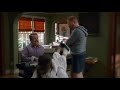 The Best of Cameron Tucker from Modern Family