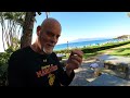 Catching and Cooking Octopus in Hawaii!