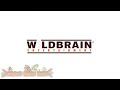 Wildbrain (2007-2016) Reanimated Logo