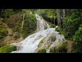 Nature Sounds - Relax by the Waterfall in the Forest