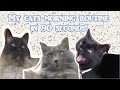 My cats morning routine in 90 seconds!